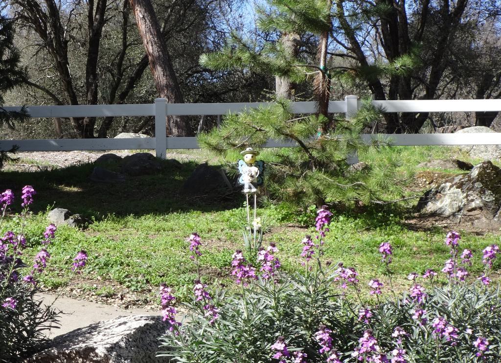Little Valley Inn Mariposa Exterior foto